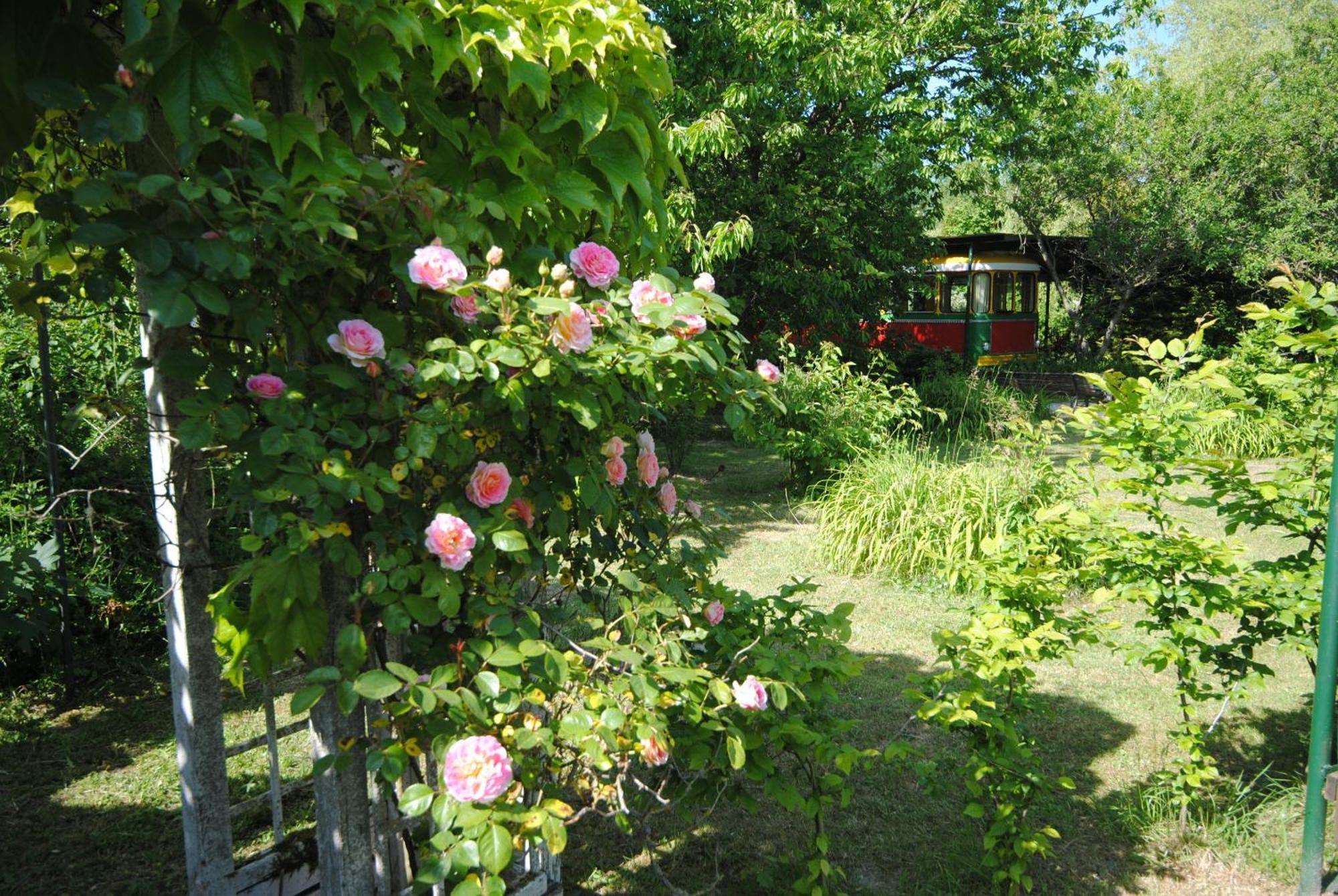 Les Insolites Du Grand Logis Marchais  Buitenkant foto